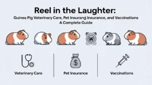 Guinea Pig Veterinary Care, Pet Insurance, and Vaccinations: A Complete Guide