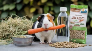 What Do Guinea Pigs Eat? A Complete Guide to Their Diet and Nutrition