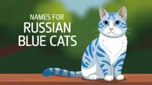 names for russian blue cat