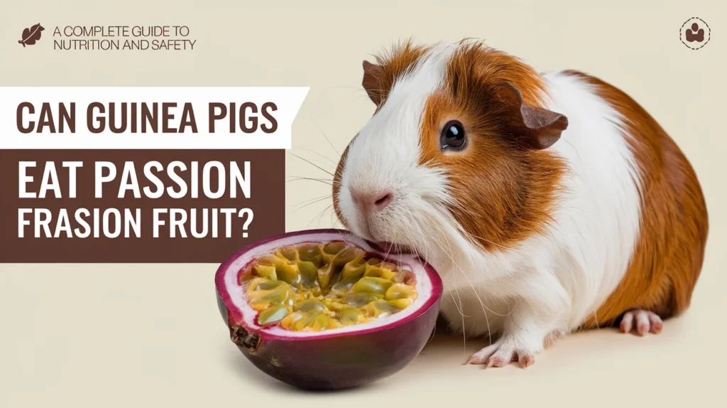 Can Guinea Pigs Eat Passion Fruit
