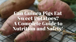 Can Guinea Pigs Eat Sweet Potatoes